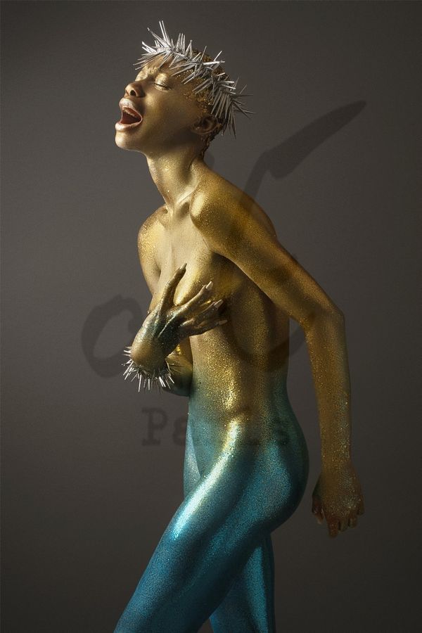 Portfolio Image